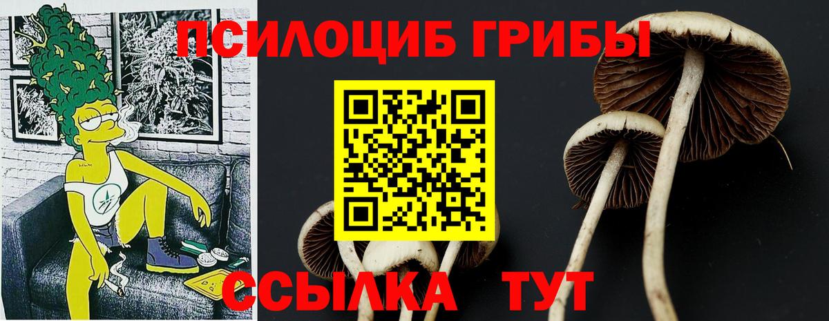Галлюциногенные грибы Cubensis Донецк