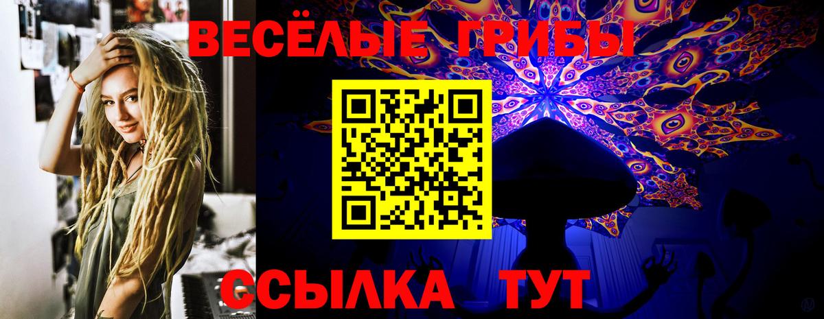 Псилоцибиновые грибы Psilocybe  Псилоцибиновые грибы MAGIC MUSHROOMS  Донецк  Вход с VPN 